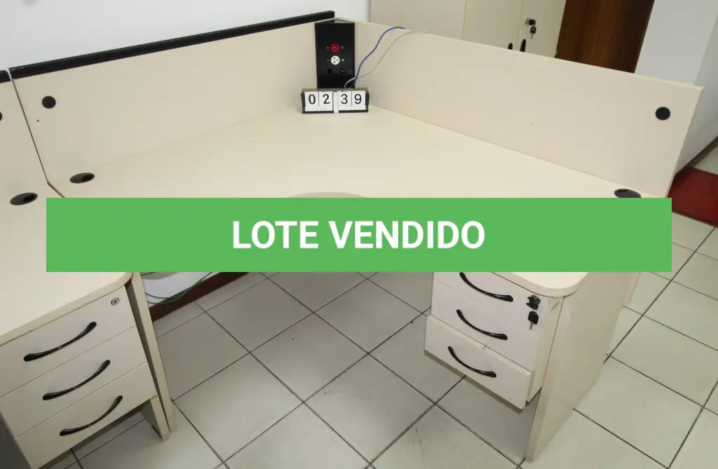 LOTE 239