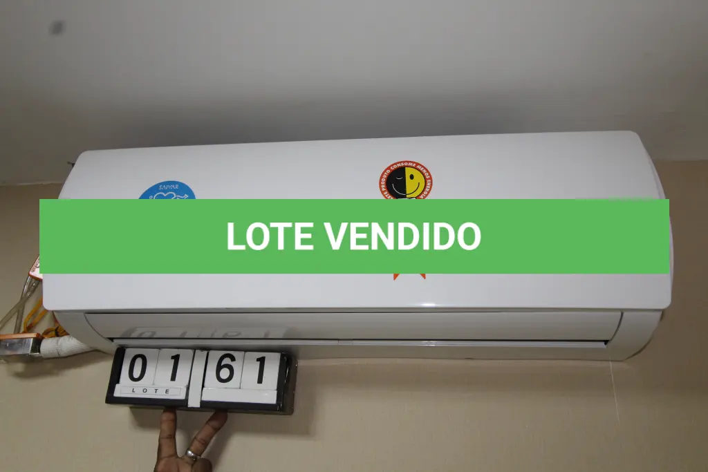 LOTE 161
