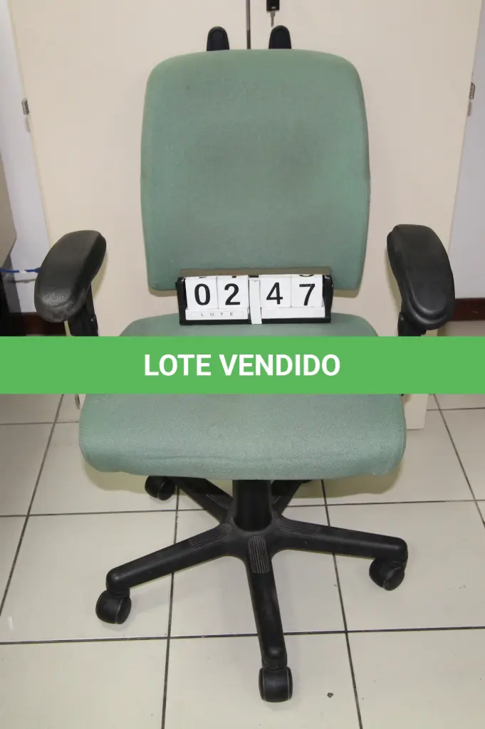 LOTE 247