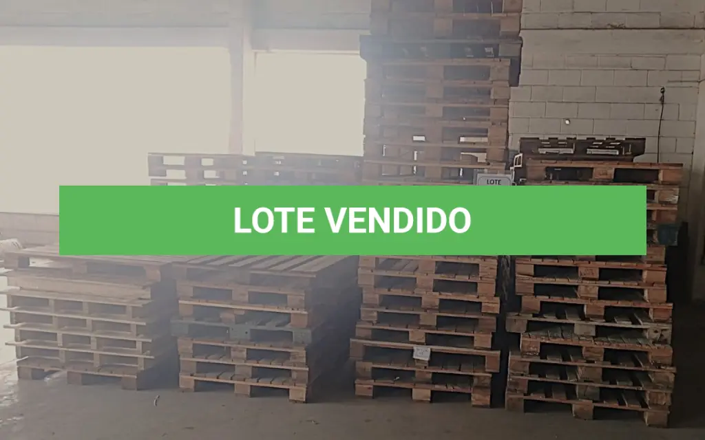 LOTE 207