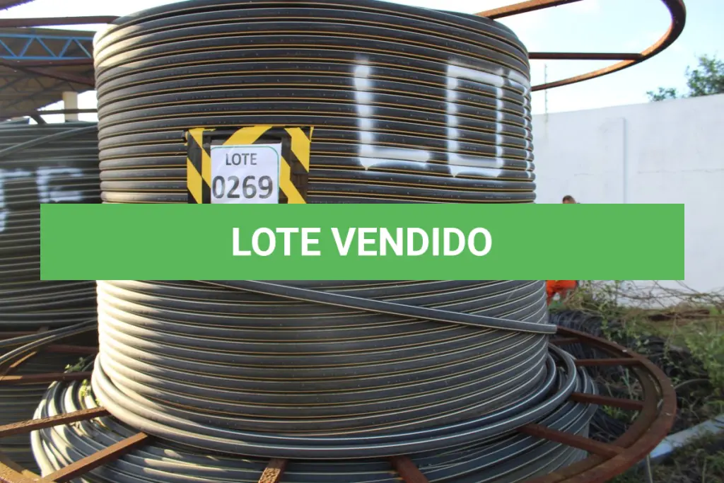 LOTE 269