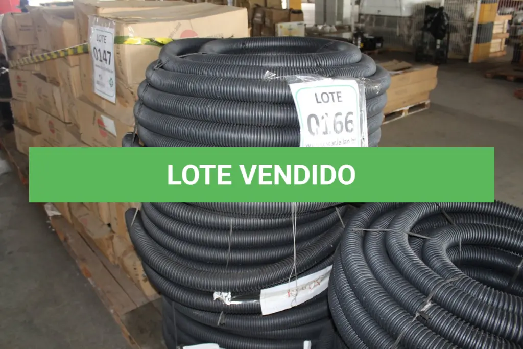 LOTE 166
