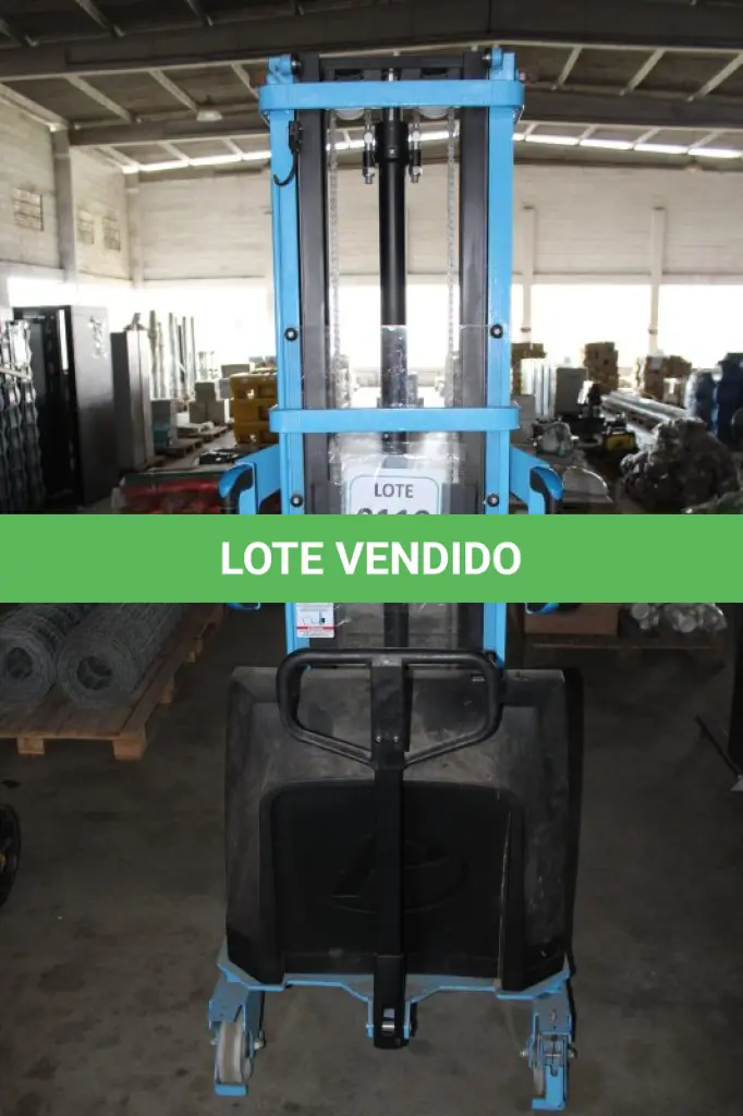 LOTE 119