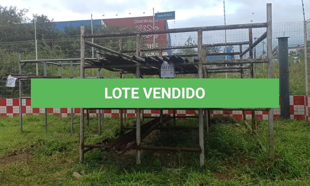 LOTE 279