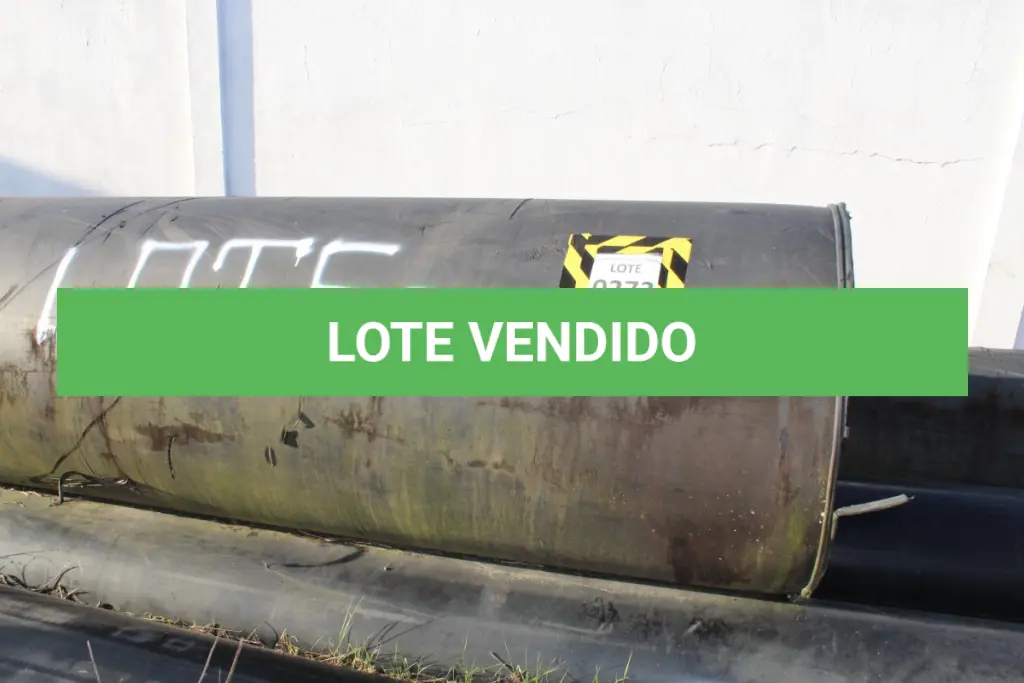 LOTE 273