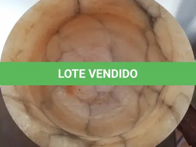 LOTE 306 - FRUTEIRA