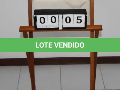 LOTE 005 - LOTE - 0005 - PORTA PALETÓ