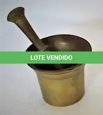 LOTE 279 - CINZEIRO