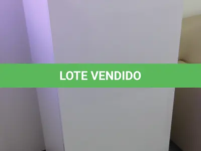 LOTE 058 - LOTE - 0058 - ARMÁRIO 1 PORTA EM LACA
