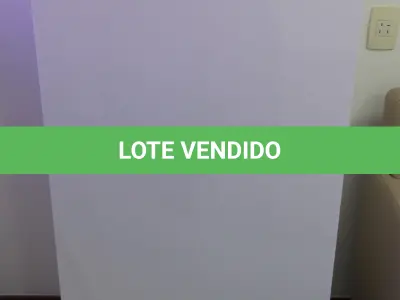 LOTE 058 - LOTE - 0058 - ARMÁRIO 1 PORTA EM LACA