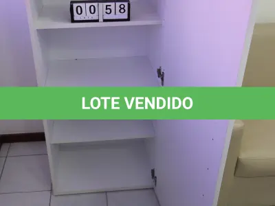 LOTE 058 - LOTE - 0058 - ARMÁRIO 1 PORTA EM LACA