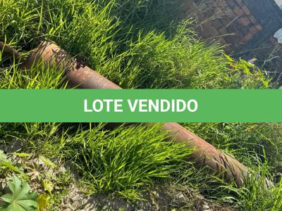 LOTE 004 - AUTOCLAVE VERTICAL