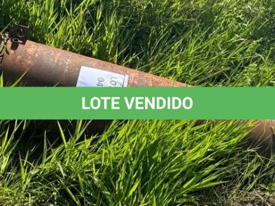 LOTE 004 - AUTOCLAVE VERTICAL
