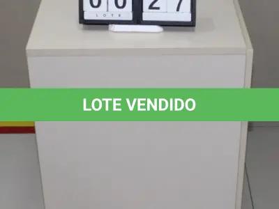 LOTE 027 - ARMÁRIO BAIXO DUAS PORTAS