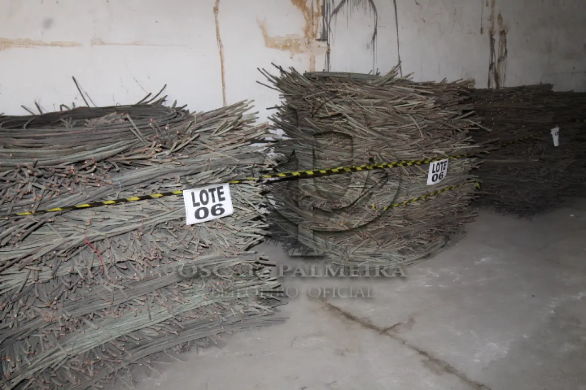 LOTE 006 - DIVERSOS MATERIAIS DE COBRE COMPOSTO DE: CABOS MENSAGEIROS, FIOS DE COBRE, FIOS DE CONTATO