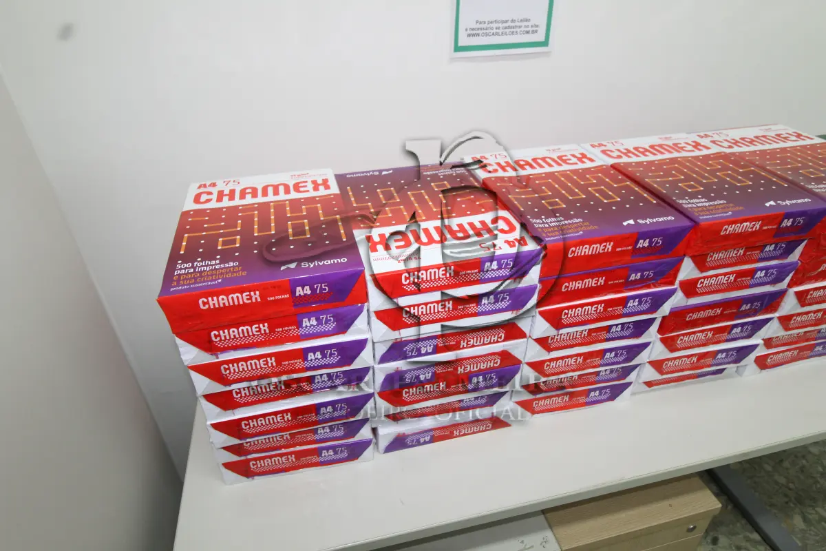 LOTE 009 - MATERIAL DE PAPELARIA