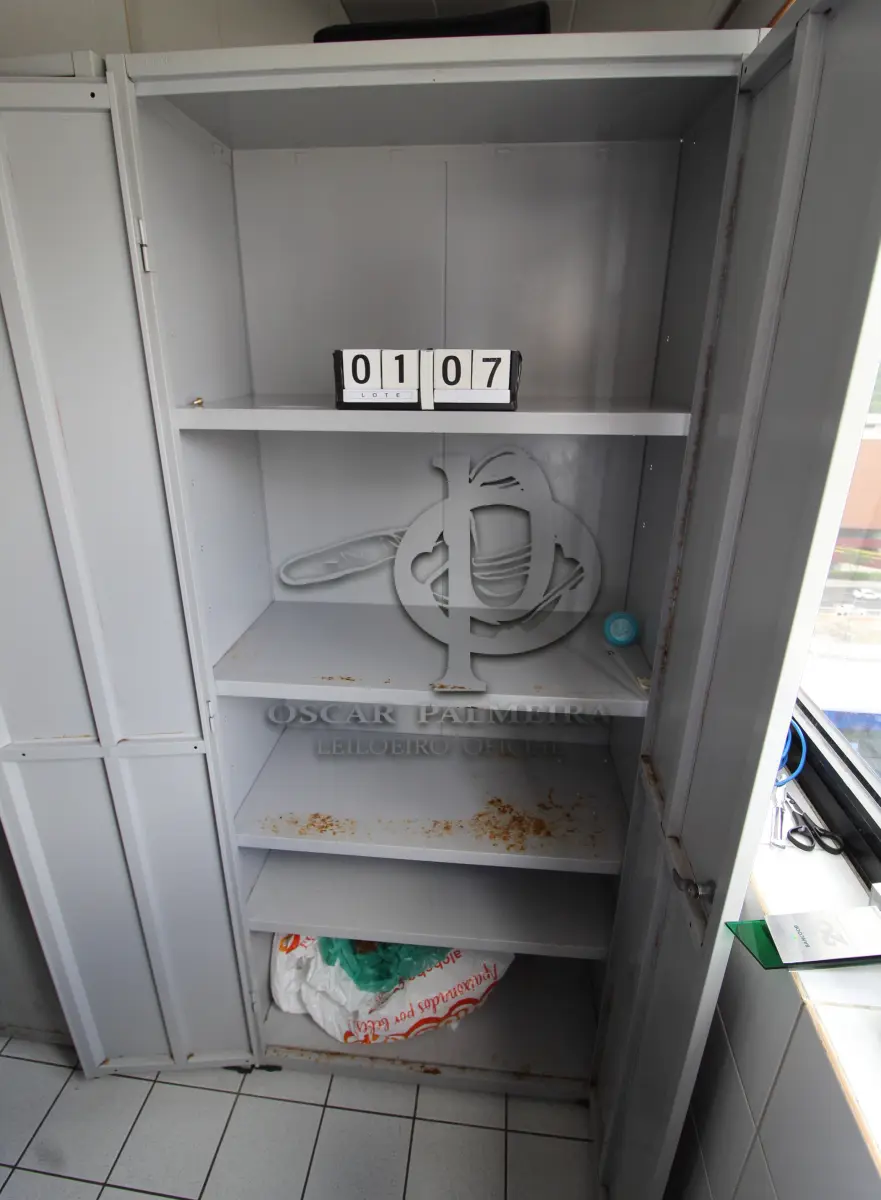 LOTE 107 - LOTE - 0107 - ARMÁRIO 2 PORTAS METAL ALTO