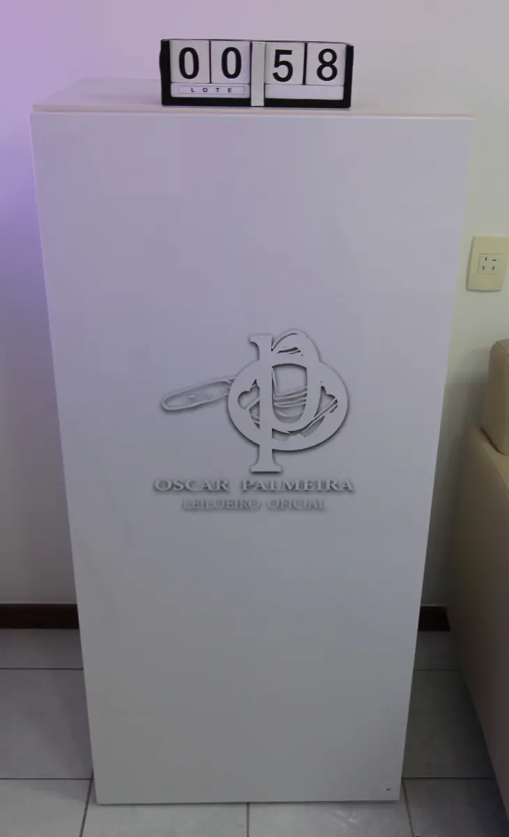 LOTE 058 - LOTE - 0058 - ARMÁRIO 1 PORTA EM LACA