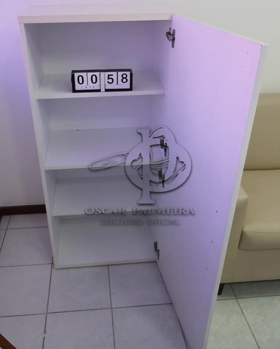 LOTE 058 - LOTE - 0058 - ARMÁRIO 1 PORTA EM LACA