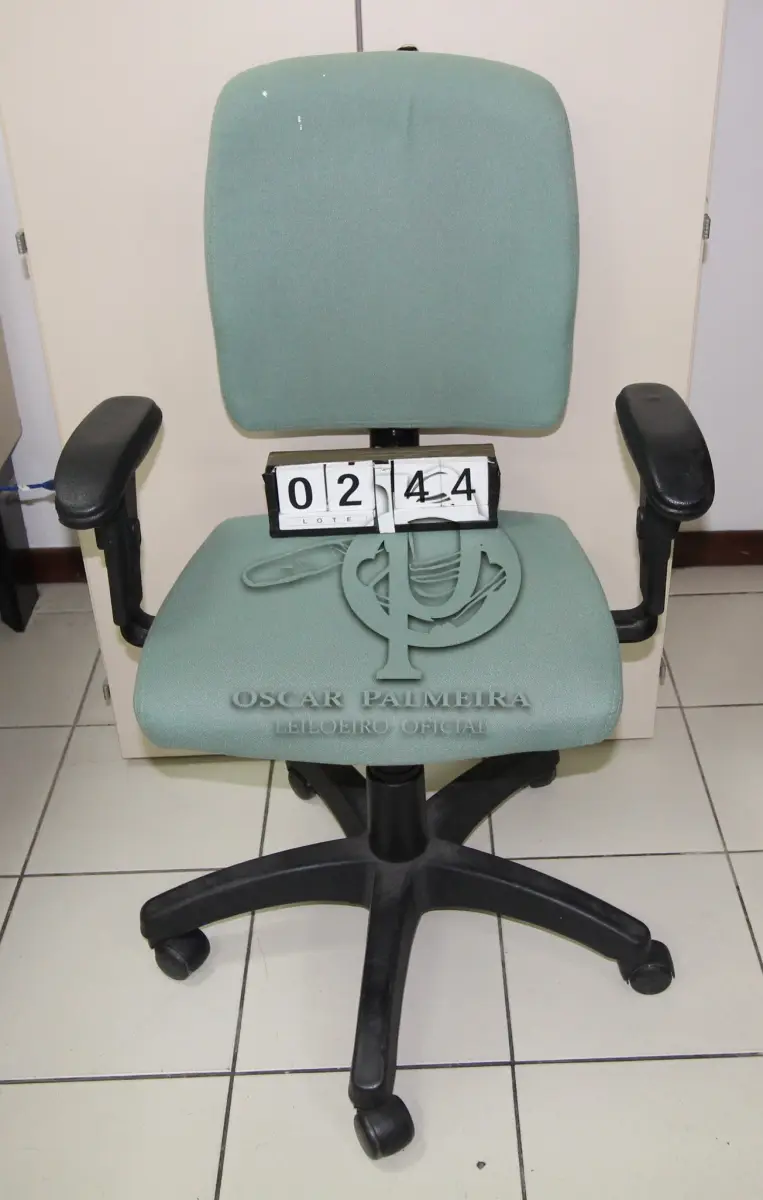 LOTE 244 - LOTE - 0244 - CADEIRA SECRETÁRIA GIRATÓRIA C/ BRAÇO