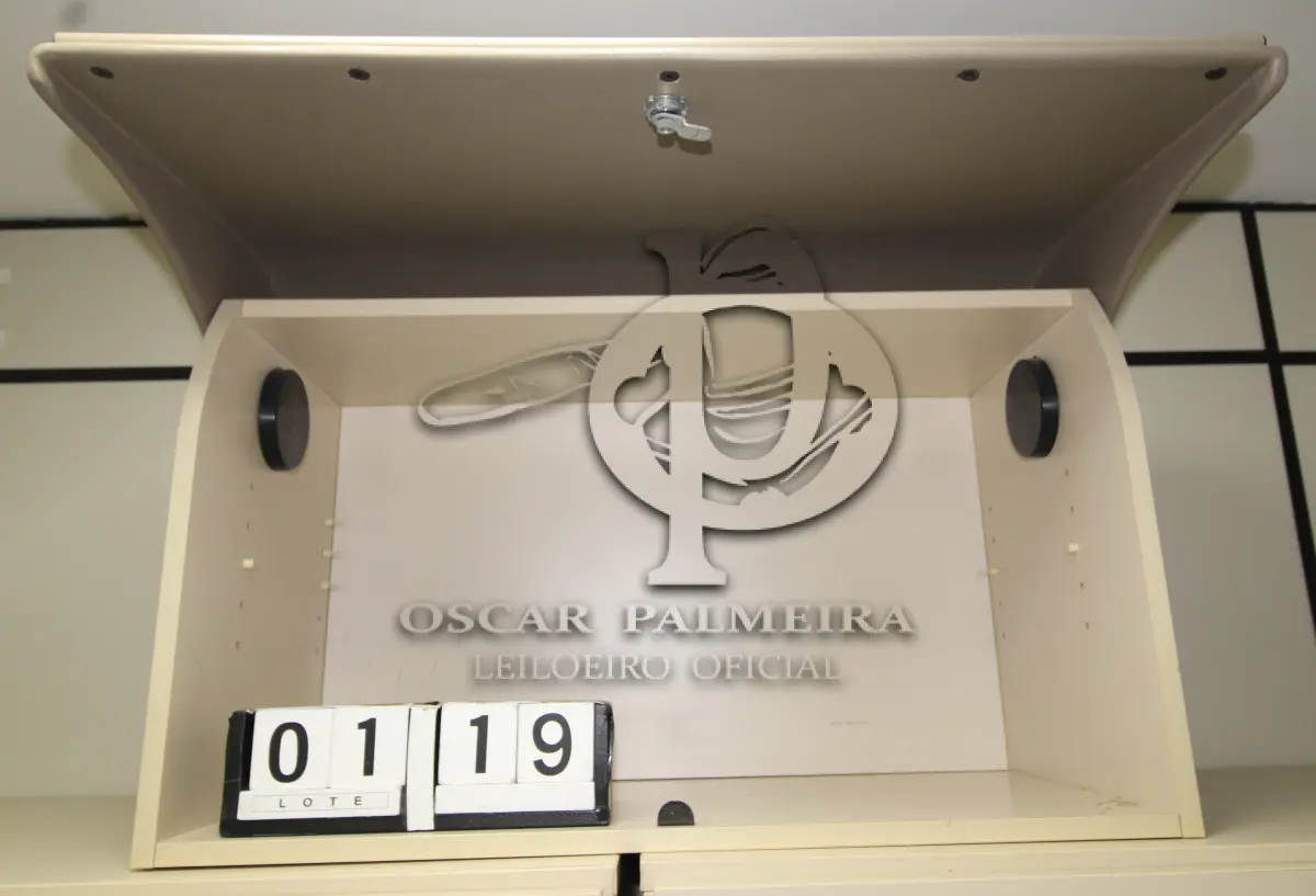 LOTE 119 - LOTE - 0119 - BAÚ AÉREO