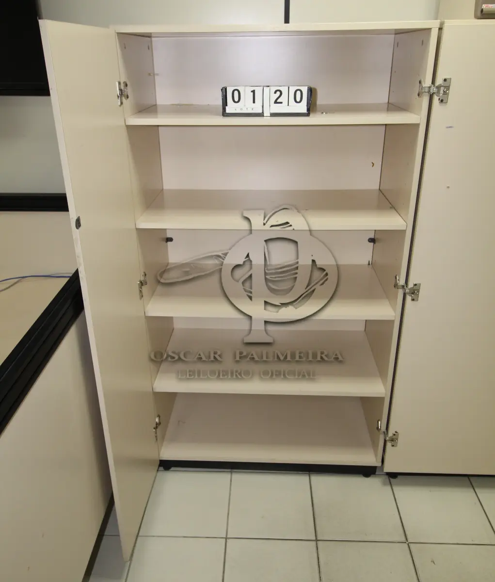 LOTE 120 - LOTE - 0120 - ARMÁRIO 2 PORTAS ALTO