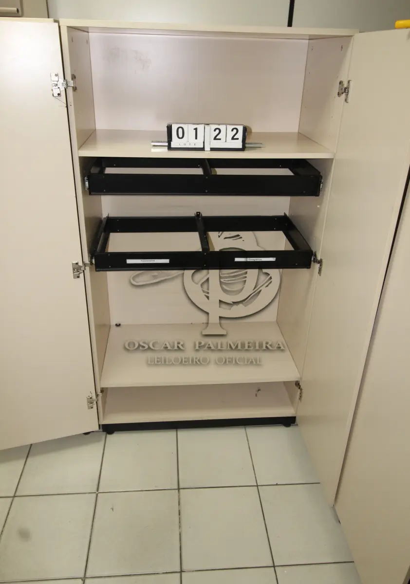 LOTE 122 - LOTE - 0122 - ARMÁRIO 2 PORTAS ALTO