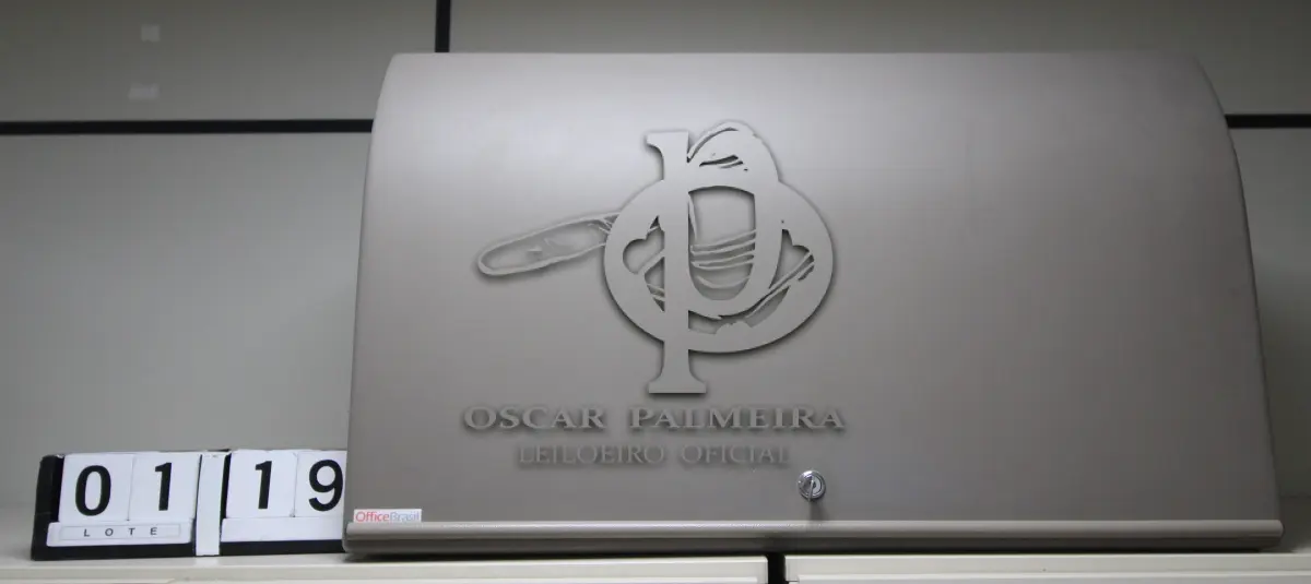 LOTE 119 - LOTE - 0119 - BAÚ AÉREO