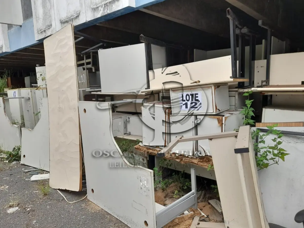 LOTE 012 - DIVERSOS BENS MÓVEIS COMPOSTO / 5ª PARTE SIMÕES FILHO