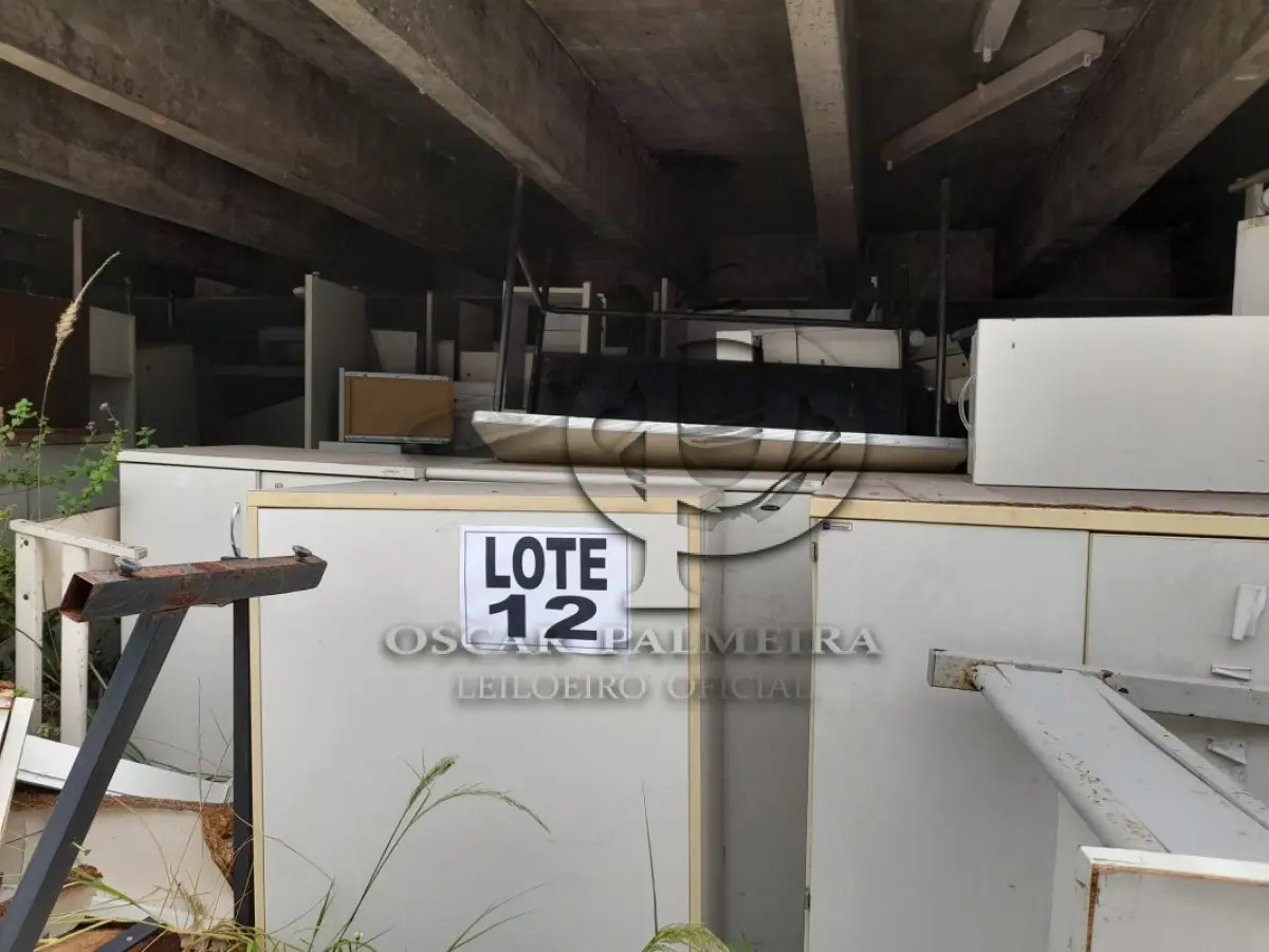 LOTE 012 - DIVERSOS BENS MÓVEIS COMPOSTO / 5ª PARTE SIMÕES FILHO