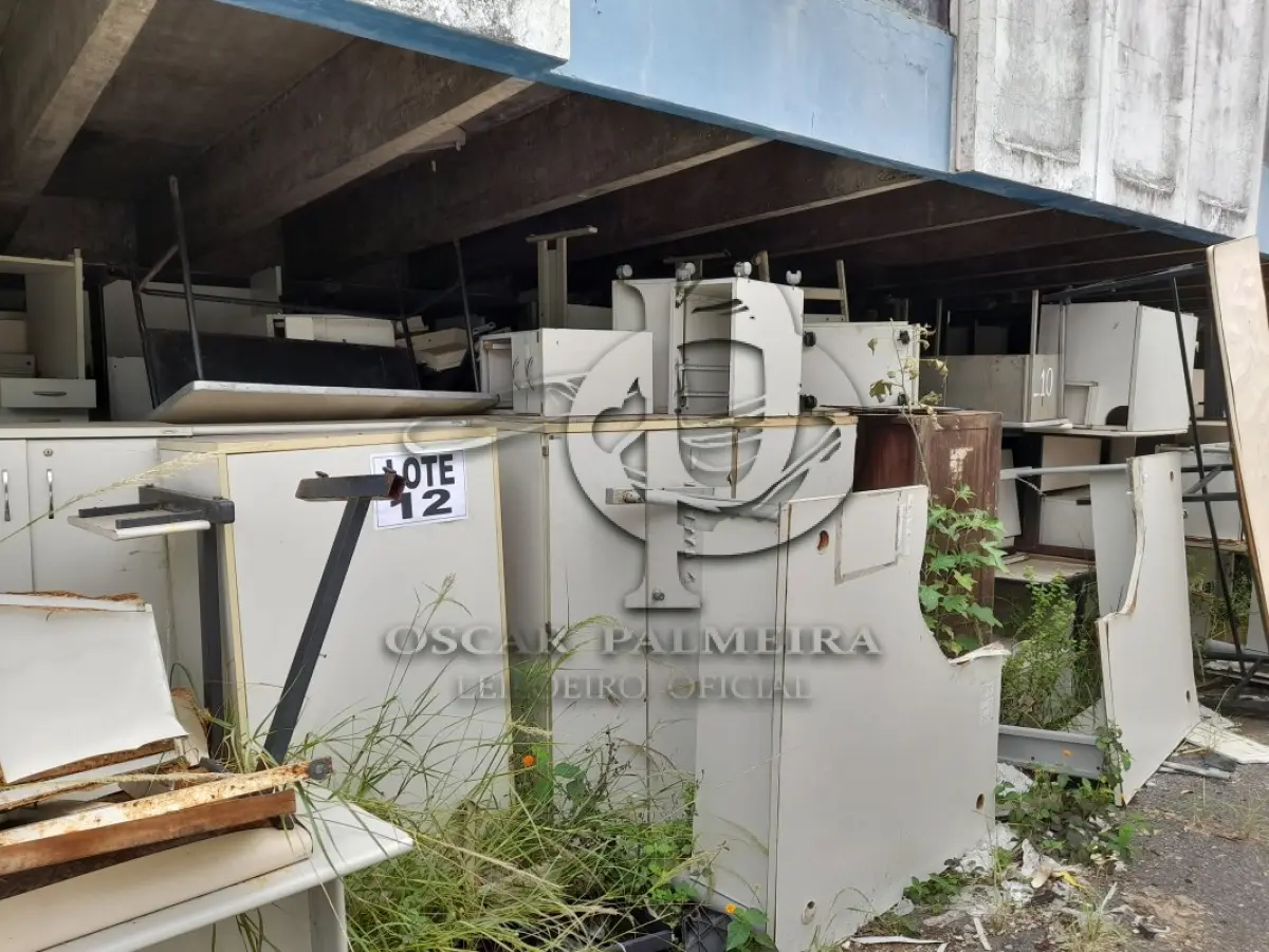 LOTE 012 - DIVERSOS BENS MÓVEIS COMPOSTO / 5ª PARTE SIMÕES FILHO