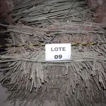 LOTE 009 - DIVERSOS MATERIAIS DE COBRE COMPOSTO DE: CABOS MENSAGEIROS, FIOS DE COBRE, FIOS DE CONTATO