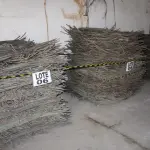 LOTE 006 - DIVERSOS MATERIAIS DE COBRE COMPOSTO DE: CABOS MENSAGEIROS, FIOS DE COBRE, FIOS DE CONTATO