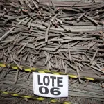 LOTE 006 - DIVERSOS MATERIAIS DE COBRE COMPOSTO DE: CABOS MENSAGEIROS, FIOS DE COBRE, FIOS DE CONTATO