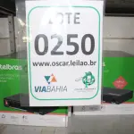 LOTE 250 - MATERIAL DIVERSO