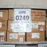LOTE 249 - MATERIAL DIVERSO