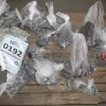 LOTE 192 - MATERIAL DIVERSO