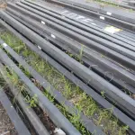 LOTE 276 - MATERIAL DIVERSO