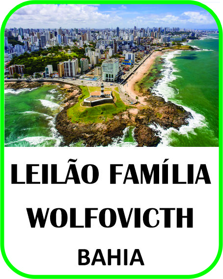 LEILÃO FAMÍLIA WOLFOVITCH